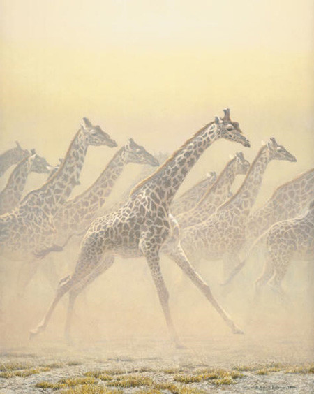 Robert Bateman Galloping Herd â€“ Giraffes