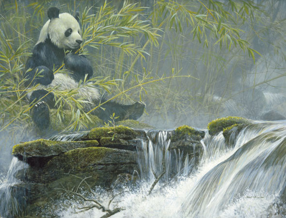 Robert Bateman Giant Panda