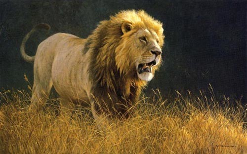 Robert Bateman Into The Light Lion