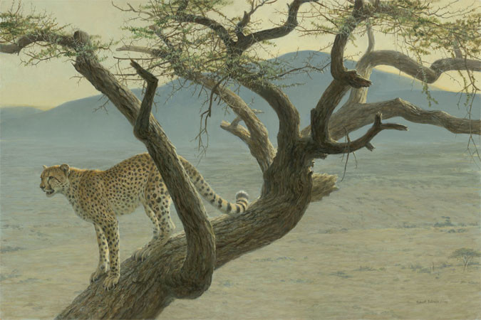 Robert Bateman Lewa Cheetah