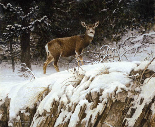 Robert Bateman Mule Deer In Snow