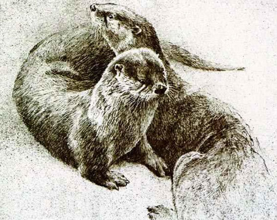 Robert Bateman Pair of Otters