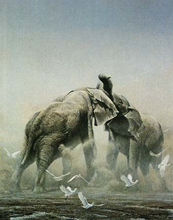 Robert Bateman Sparring Elephants