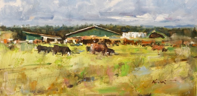Clement Kwan Cattle Farm Morning Saanich