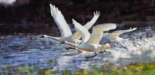 Clement Kwan Symphony of Wings