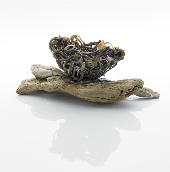Doroni Lang Small Bird Nest with Feathers