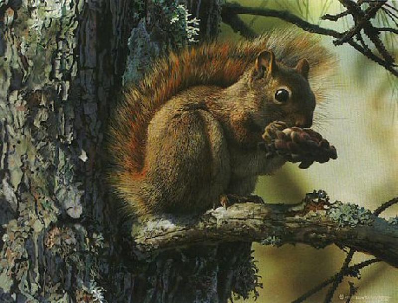  Picnic Perch
