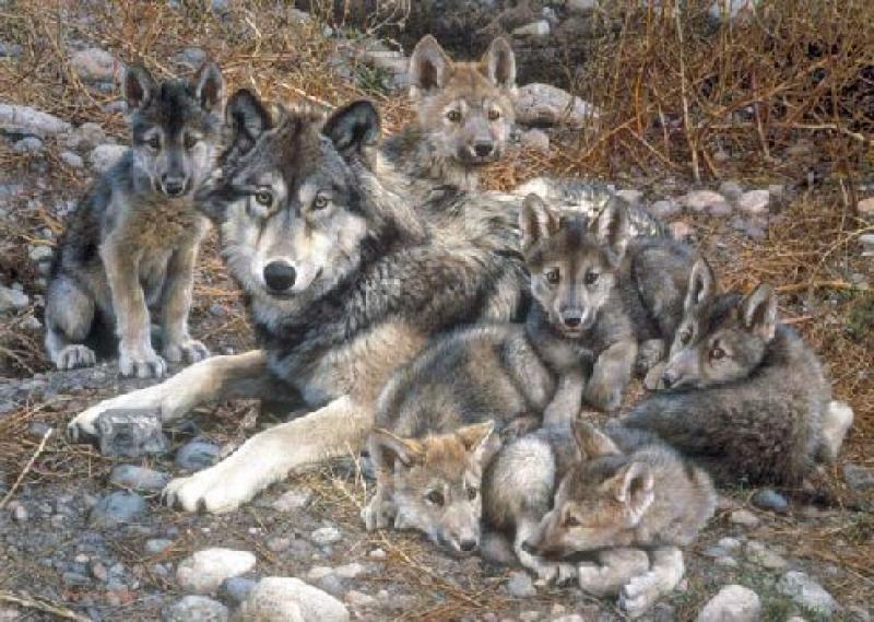   Den Mother