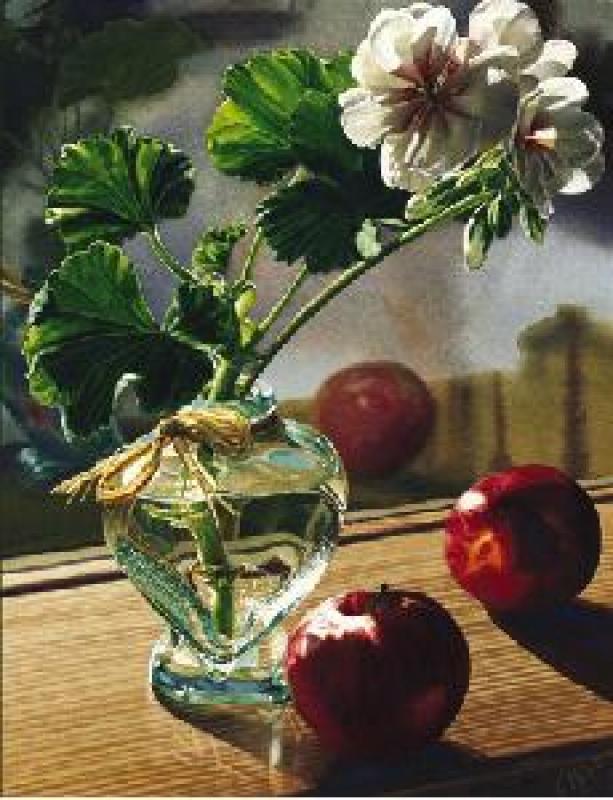 Carol Evans Geraniums and Apples