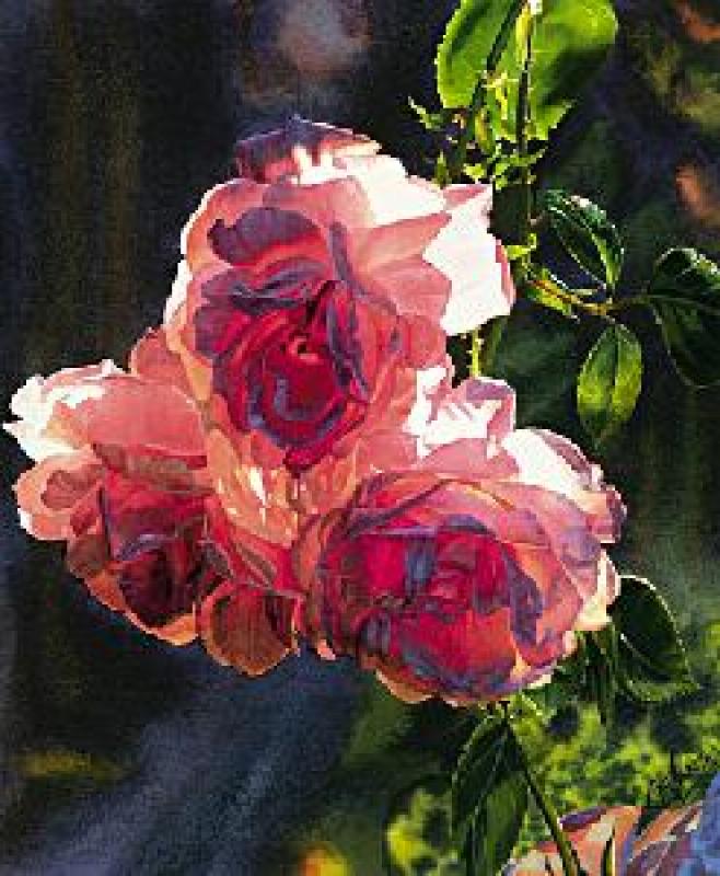 Carol Evans Roses in the Morning