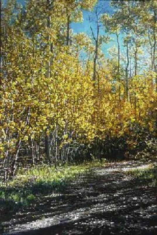   Changing Path