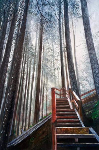 Jim Park Misty Trail