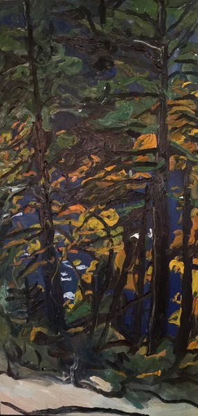 Josephine Fletcher Wind, Burgoyne Bay with Fir and Maple Trees