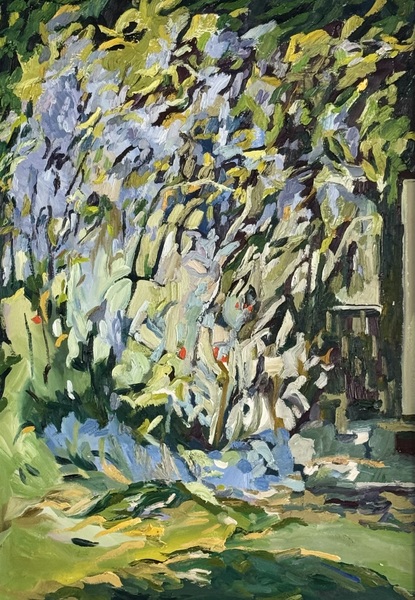 Josephine Fletcher Wisteria