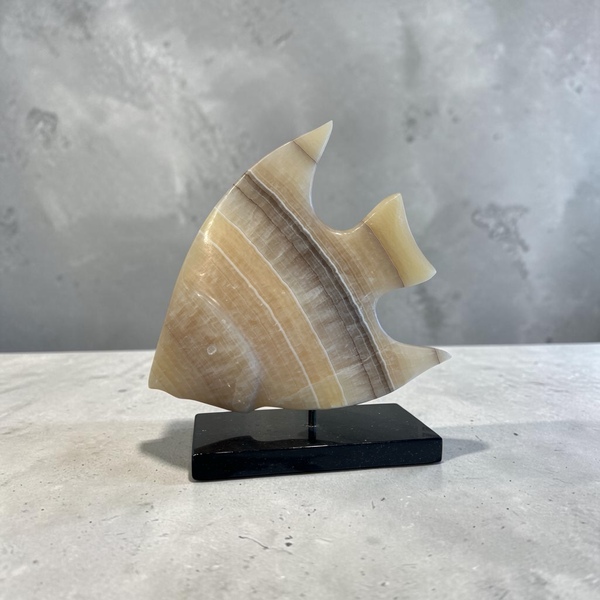 Michael Binkley Angelfish