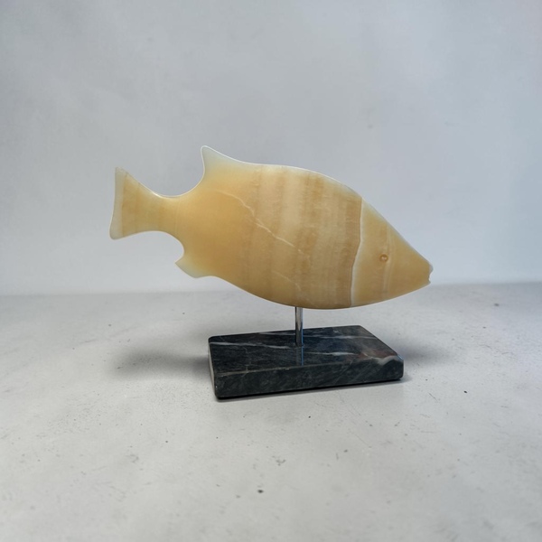 Michael Binkley Fantasy Fish