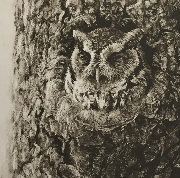 Robert Bateman Screech Owl in Apple Tree
