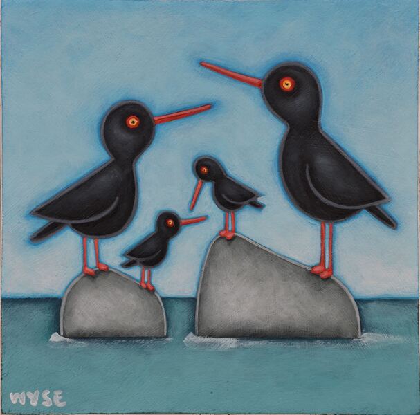 Peter Wyse Oystercatchers