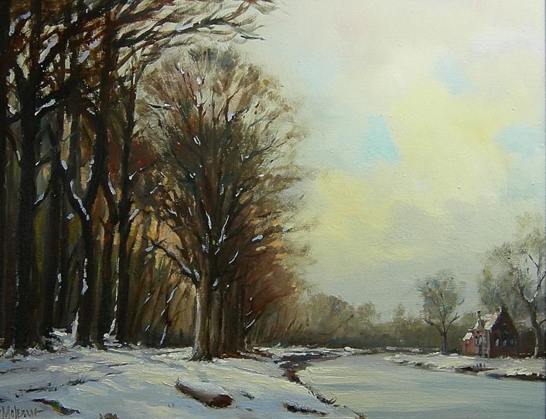 Pieter Molenaar Winter Days