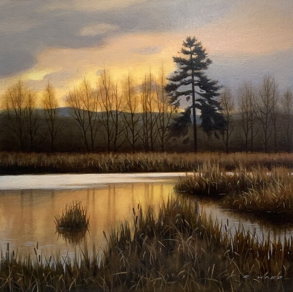 Ray Ward Marsh Ambience