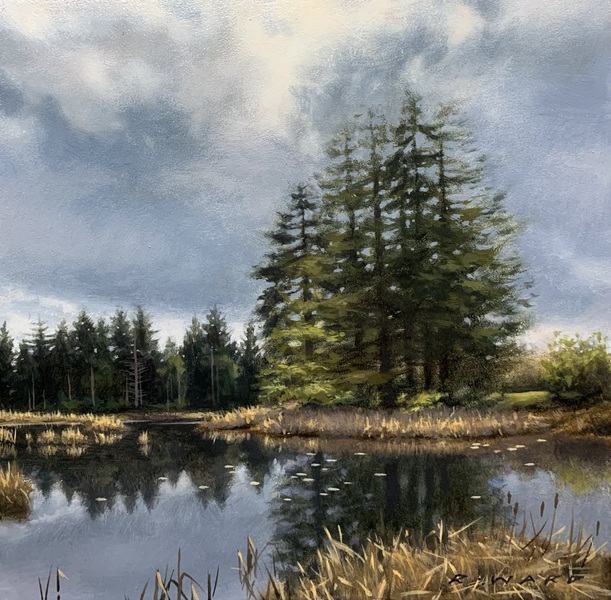 Ray Ward Pond in April