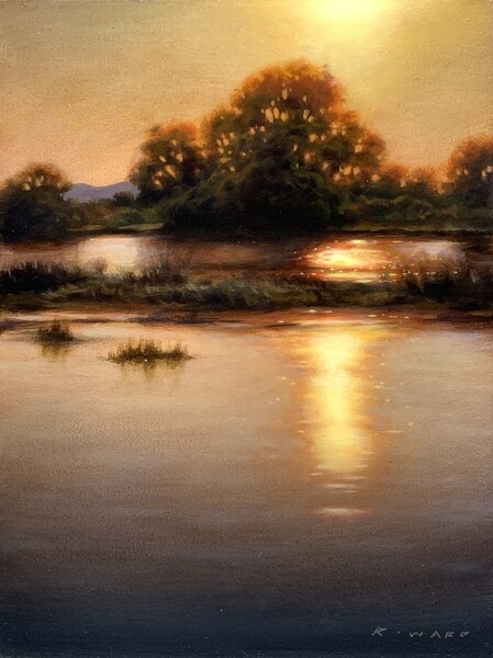 Ray Ward Riverbank in Golden Light