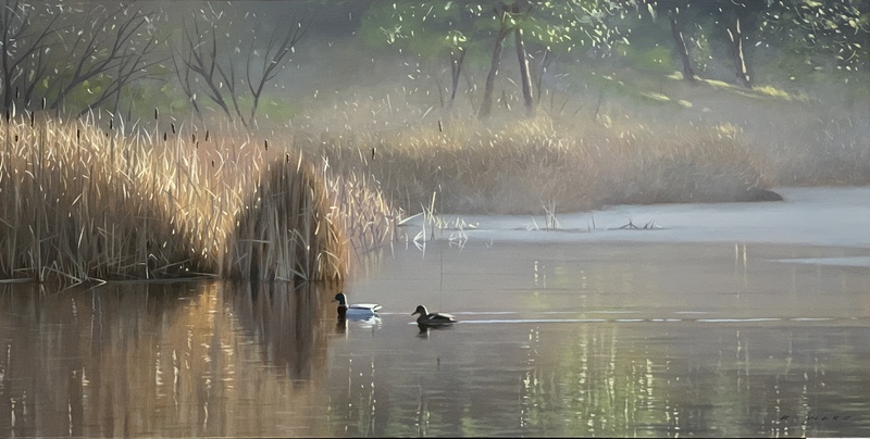 Ray Ward Winter Pond, Mallards