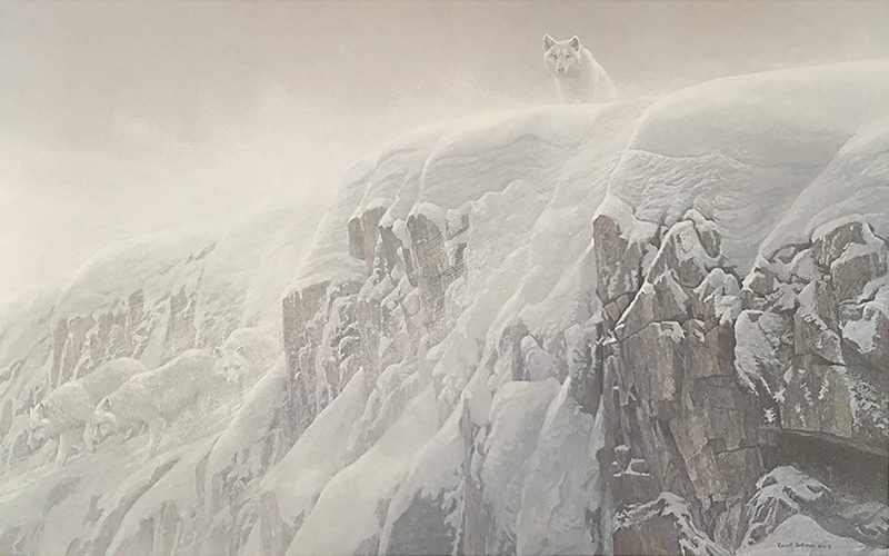 Robert Bateman Arctic Cliff White Wolves