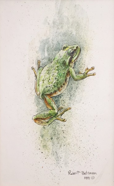 Robert Bateman Frog 
