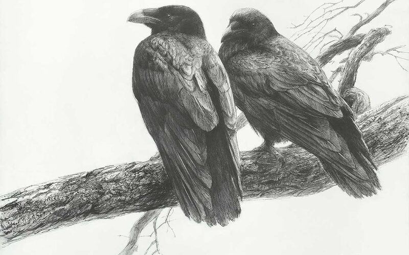 Robert Bateman Raven Pair on Branch