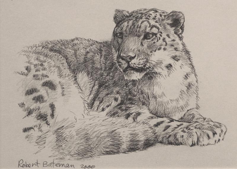 Robert Bateman Snow Leopard Portrait