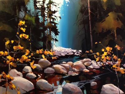 Michael O'Toole Soft Light of the Canyon - Lynn Valley