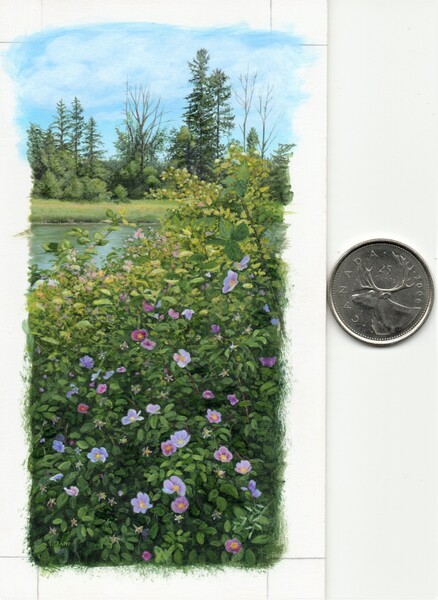 Tiffany Hastie Wild Roses
