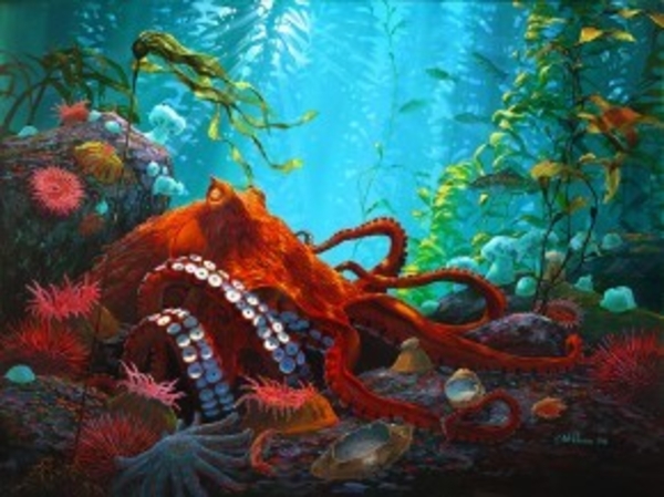 Mark Hobson Octopus: Into The Open