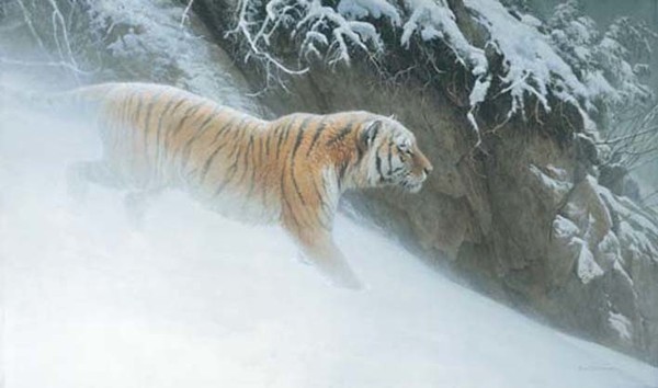 Robert z Bateman Momentum â€“ Siberian Tiger