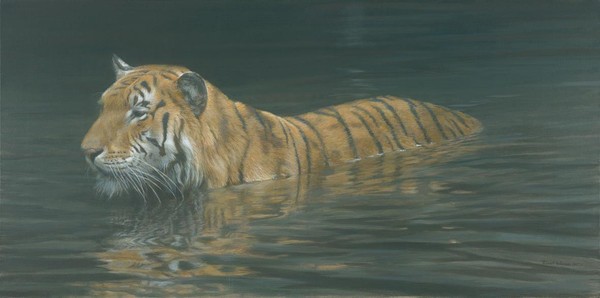 Robert z Bateman River Ford â€“ Tiger