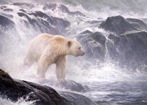 Robert z Bateman Salmon Watch â€“ Spirit Bear