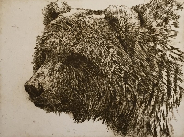 Bear by Robert Bateman