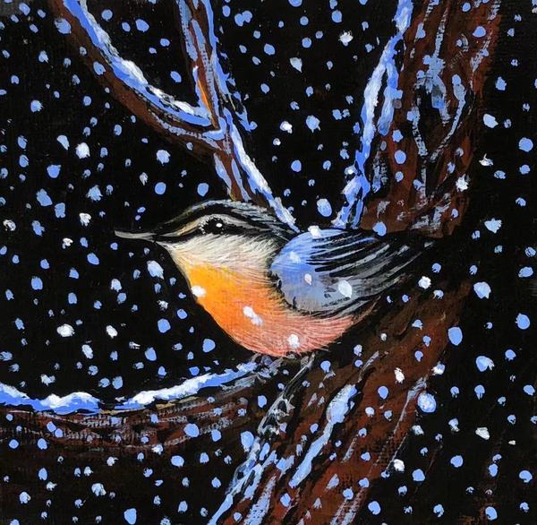 Winter Nuthatch by Catherine Robertson