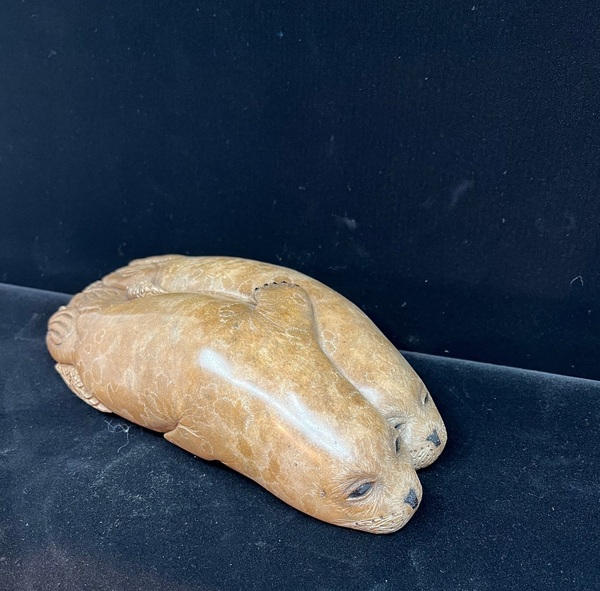 Craig z Benson Resting Pups