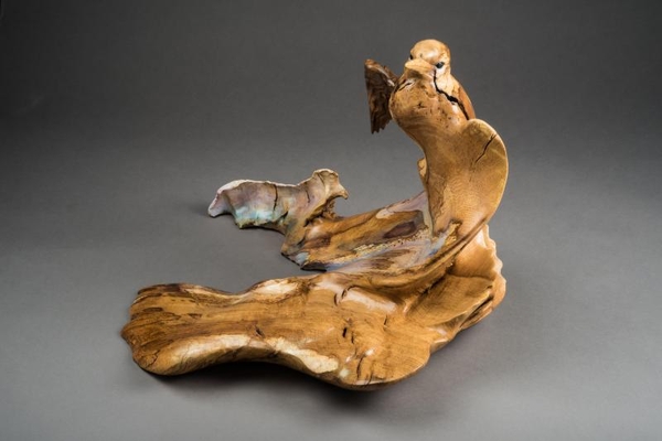 Lynn (Lindsay) z Branson Cresting the Wave