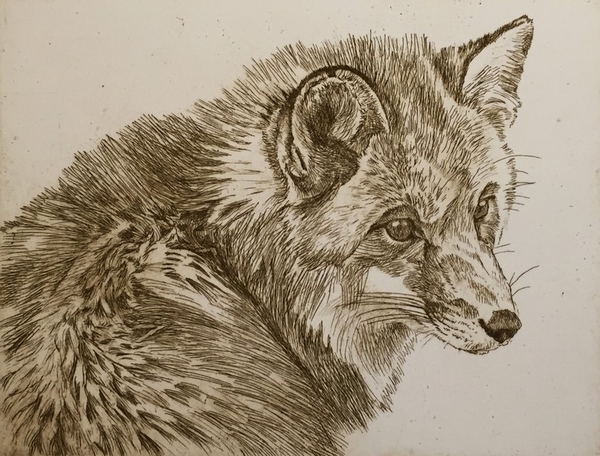 Fox by Robert Bateman