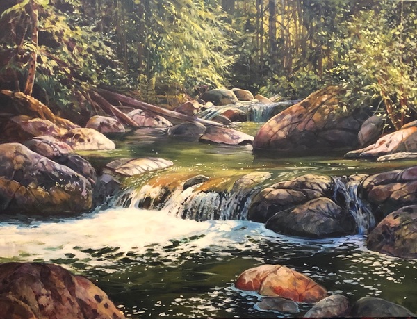 Little Qualicum Falls by Janice Robertson