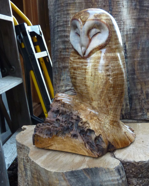 Lynn (Lindsay) z Branson The Witness