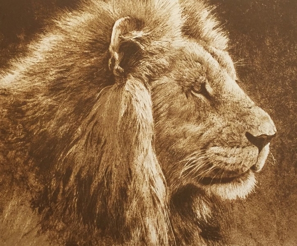Robert z Bateman Lion Head
