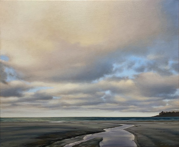 North Island Sky by Ray Ward