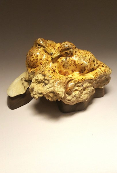 Lynn (Lindsay) Branson Quiet Comfort