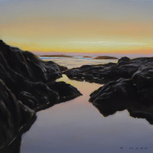 Tide Pool Calm by Ray Ward