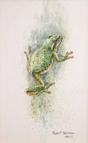 Robert z Bateman Frog 