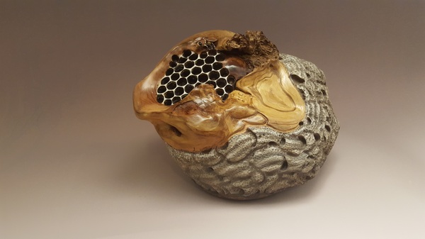 Lynn (Lindsay) z Branson Serendipitous